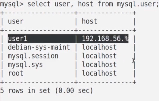 Список пользователей mysql